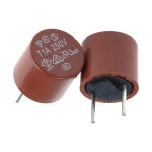 FUSE T1A-250V, 1A 250V (T) Gecikmeli Kondansatör Tip Sigorta THT - BYTE 28178  - *