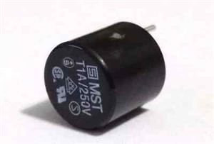 FUSE 1A 250V CAP TYPE RADIAL REOMAX THT - BYTE 07794  - MTST1A250V